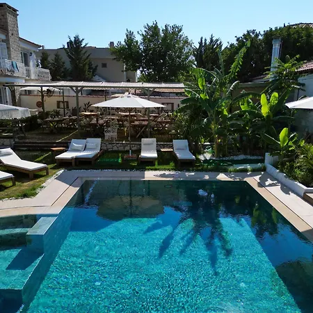 Naya Port לינה וארוחת בוקר