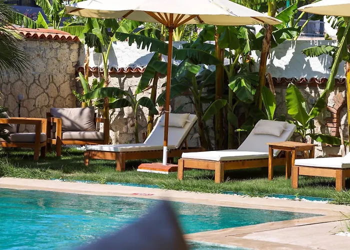 Naya Port Bed & Breakfast