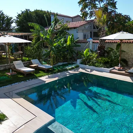 Naya Port B&B 알라카티