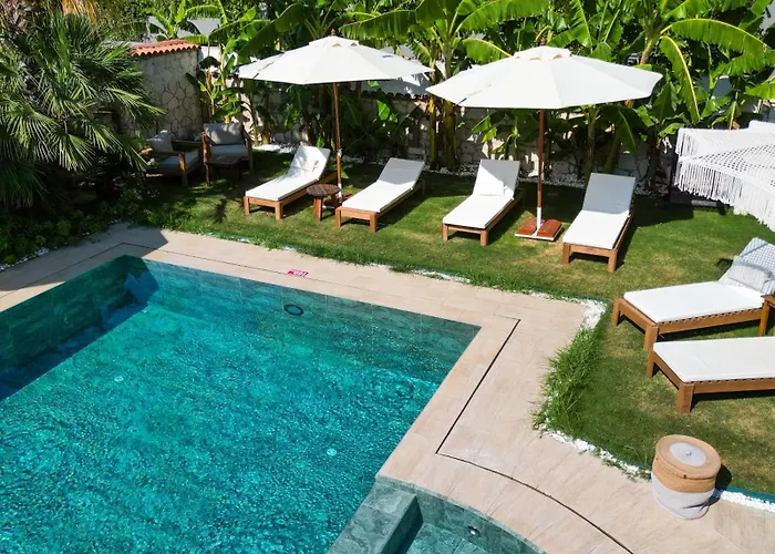 Alojamento de Acomodação e Pequeno-almoço Naya Port Alacati